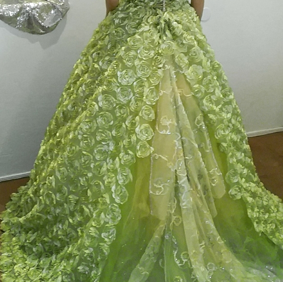 GEMMA 3D Apple Green Rosette Wedding Ballgown Set - Picture 7 of 8